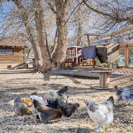 Cozy Parowan Studio 12 Mi To Brian Head Resort! Exterior foto