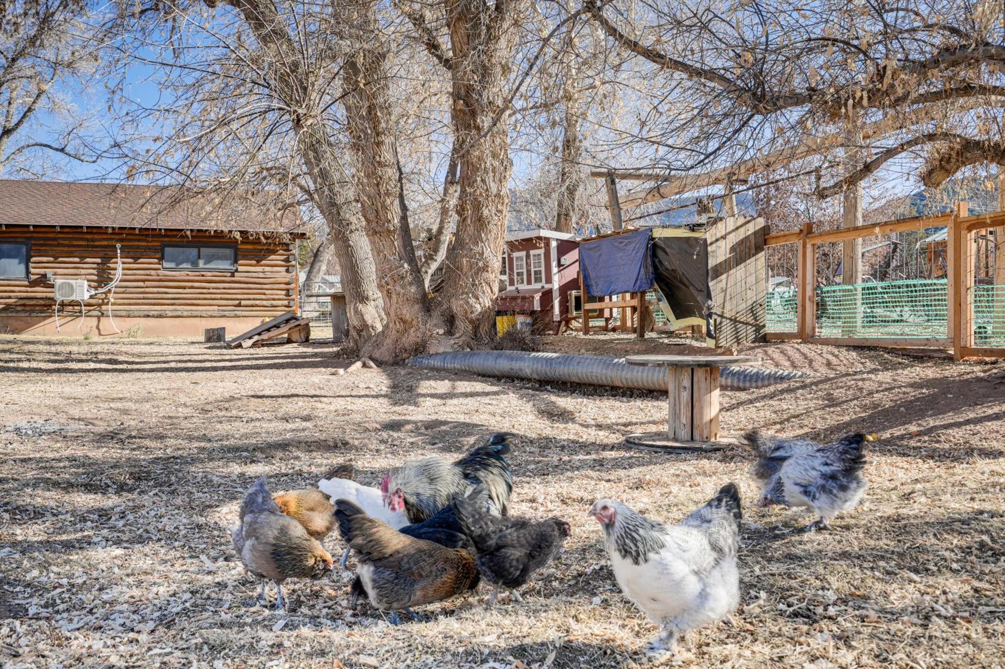 Cozy Parowan Studio 12 Mi To Brian Head Resort! Exterior foto